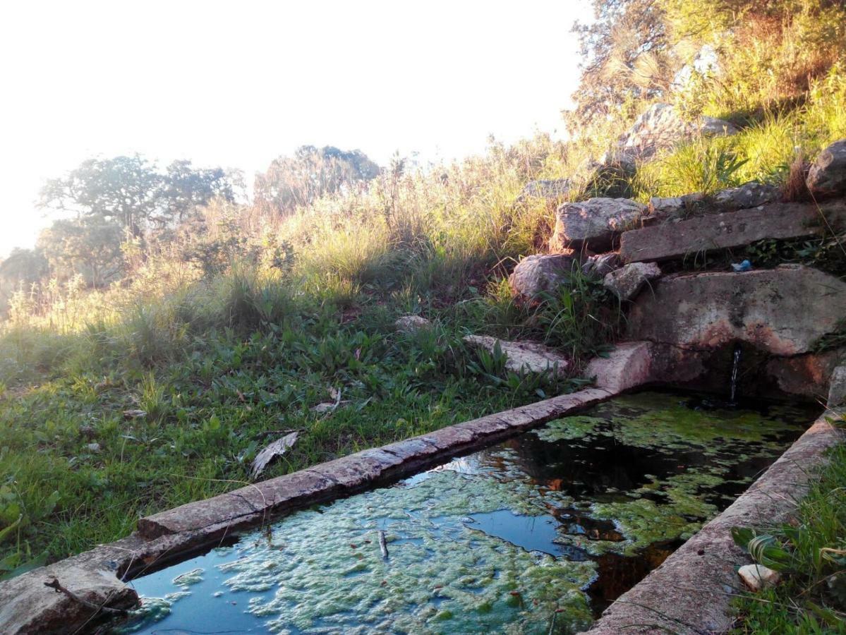 Las Parras Rute Ngoại thất bức ảnh